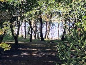 Photo 34- click for photo gallery